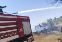 مهار به‌موقع آتش‌سوزی نخلستان ضیاءآباد نرماشیر