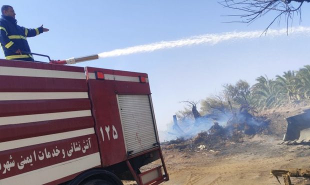 مهار به‌موقع آتش‌سوزی نخلستان ضیاءآباد نرماشیر